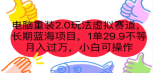 电脑重装2.0玩法虚拟赛道，长期蓝海项目 一单29.9不等 月入过万 小白可操作-九源吧网赚