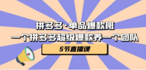 拼多多·单品爆款班，一个拼多多超级爆款养一个团队（5节直播课）-九源吧网赚学院