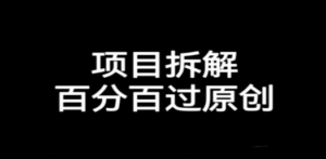 项目拆解百分百过原创，解决项目拆解赛道难过原创的问题-九源吧网赚