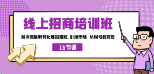 线上·招商培训班，解决流量和转化难的难题 引爆市场 从起号到变现（15节）-九源吧网赚