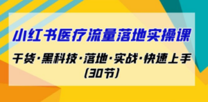 小红书·医疗流量落地实操课，干货·黑科技·落地·实战·快速上手（30节）-九源吧网赚