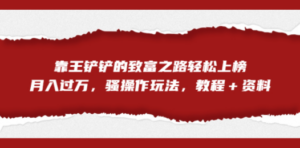 全网首发，靠王铲铲的致富之路轻松上榜，月入过万，骚操作玩法，教程＋资料-九源吧网赚