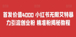 首发价值4000 小红书无限艾特暴力引流创业粉 精准粉揭秘教程-九源吧网赚