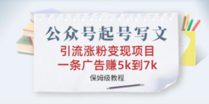 公众号起号写文、引流涨粉变现项目，一条广告赚5k到7k，保姆级教程-九源吧网赚
