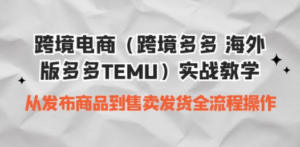 境电商（跨境多多 海外版多多TEMU）实操教学 从发布商品到售卖发货全流程-九源吧网赚