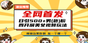 全网首发！日引500+老色批 美女视频四开屏玩法！发一个爆一个！-九源吧网赚