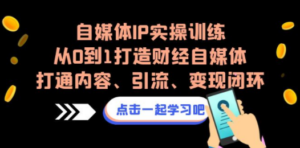 自媒体IP实操训练，从0到1打造财经自媒体，打通内容、引流、变现闭环-九源吧网赚学院