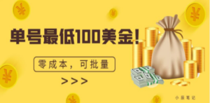 单号最低100美金，零成本，小白无脑操作。可复制，可扩大-九源吧网赚学院