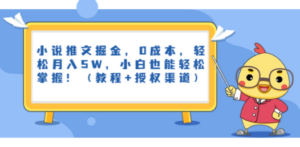 小说推文掘金，0成本，轻松月入5W，小白也能轻松掌握！（教程+授权渠道）-九源吧资源站