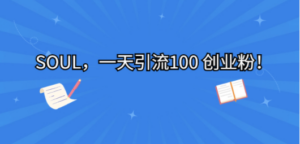 SOUL，一天引流100 创业粉-九源吧网赚学院