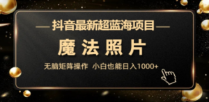 抖音最新超蓝海项目，魔法照片，无脑矩阵操作，小白也能日入1000+-九源吧资源站