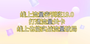 线上流量密训班19.0，打通流量关卡，线上也能实战流量破局-九源吧网赚