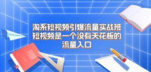 淘系短视频引爆流量实战班，短视频是一个没有天花板的流量入口-九源吧网赚学院