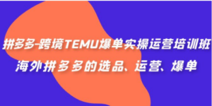 拼多多-跨境TEMU爆单实操运营培训班，海外拼多多的选品、运营、爆单-九源吧网赚