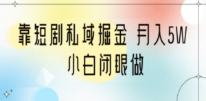 靠短剧私域掘金 月入5W 小白闭眼做（教程+2T资料）-九源吧网赚