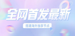 全网首发最新海外节点搭建，独享梯子安全稳定运营海外短视频，日入1000+-九源吧网赚学院