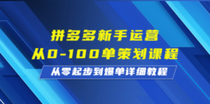 拼多多新手运营从0-100单策划课程，从零起步到爆单详细教程-九源吧网赚