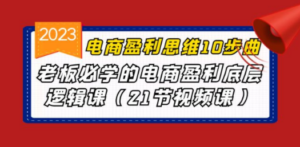 电商盈利-思维10步曲，老板必学的电商盈利底层逻辑课（21节视频课）-九源吧网赚