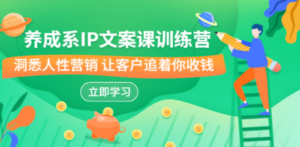 养成系-IP文案课训练营，文案心法的天花板 洞悉人性营销 让客户追着你收钱-九源吧资源站