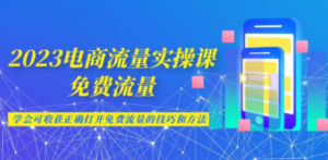 2023电商流量实操课-免费流量，学会可收获正确打开免费流量的技巧和方法-九源吧网赚