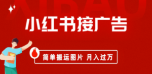 小红书接广告月入过万，简单搬运图片，新手小白快速上手-九源吧网赚