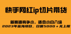快手网红ip切片新赛道，竞争小事，适合小白 2023蓝海项目-九源吧网赚学院