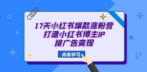 17天 小红书爆款 涨粉营（广告变现方向）打造小红书博主IP、接广告变现-九源吧网赚学院