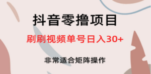 抖音零撸项目，刷刷视频单号日入30+-九源吧资源站