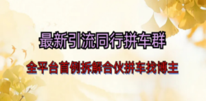 最新引流同行拼车群合伙拼车找博主日引百人新玩法-九源吧资源站