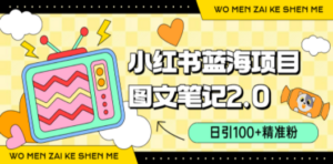 小红书图文笔记2.0玩法，日引100+精准粉，卖小吃配方月入过10000（附配方）-九源吧网赚