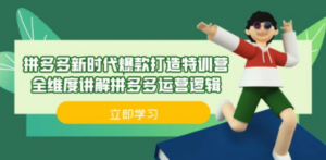 拼多多·新时代爆款打造特训营，全维度讲解拼多多运营逻辑（21节课）-九源吧网赚学院