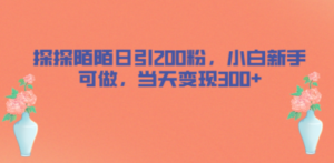 探探陌陌日引200粉，小白新手可做，当天就能变现300+-九源吧网赚