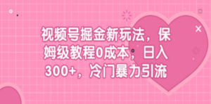 视频号掘金新玩法，保姆级教程0成本，日入300+，冷门暴力引流-九源吧网赚