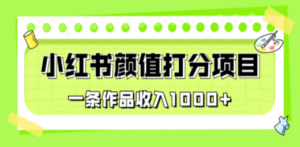 适合0基础小白的小红书颜值打分项目，一条作品收入1000+-九源吧网赚学院
