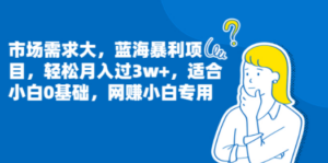 市场需求大，蓝海暴利项目，轻松月入过3w+，适合小白0基础，网赚小白专用-九源吧网赚学院