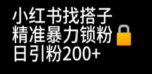 小红书找搭子暴力精准锁粉+引流日引200+精准粉-九源吧网赚
