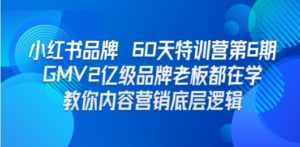 小红书品牌 60天特训营第6期 GMV2亿级品牌老板都在学 教你内容营销底层逻辑-九源吧网赚
