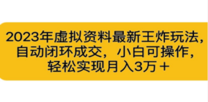 2023年虚拟资料最新王炸玩法，自动闭环成交，小白可操作，轻松实现月入3…-九源吧