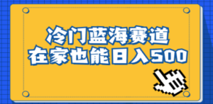 冷门蓝海赛道，卖软件安装包居然也能日入500+长期稳定项目，适合小白0基础-九源吧网赚