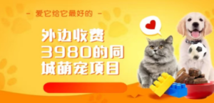 同城萌宠项目，用最冷门的玩法冲击最热门的市场（教程+素材）-九源吧资源站