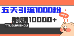 5天引流1000+，赚了1w+-九源吧资源站