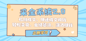 采金 系统2.0，私域成交，快速成交收钱，轻松卖货，业绩暴涨，潇洒赚钱-九源吧网赚