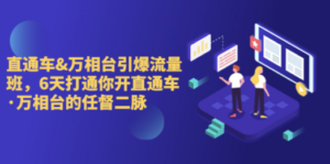 直通车+万相台引爆流量班，6天打通你开直通车·万相台的任督 二脉-九源吧网赚