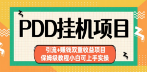 拼多多挂机项目 引流+赚钱双重收益项目(保姆级教程小白可上手实操)-九源吧网赚学院