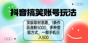 抖音搞笑账号玩法，顶级取材思路，1条作品涨粉5000，一部手机日入500-九源吧