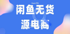 2023最强蓝海项目，闲鱼无货源电商，无风险易上手月赚10000 见效快-九源吧网赚