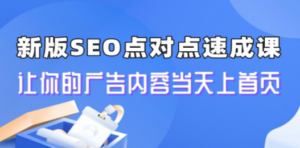 新版SEO点对点引流速成课 让你的广告内容当天上首页-九源吧网赚