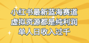 外面收费1980的小红书最新蓝海赛道，虚拟资源都是纯利润，单人日收入过千-九源吧网赚学院