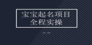 拆解小红书宝宝起名虚拟副业项目，一条龙实操玩法分享-九源吧网赚