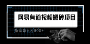 8月有道词典最新蓝海项目，视频搬运日入800+-九源吧网赚学院